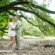 Norfolk Virginia Hermitage Museum Engagement Photos